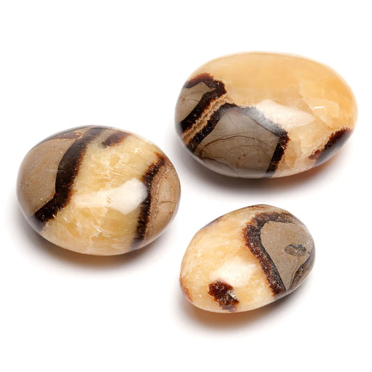 Septarian, handpolerad draksten